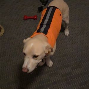 Dog coat.  Size large.